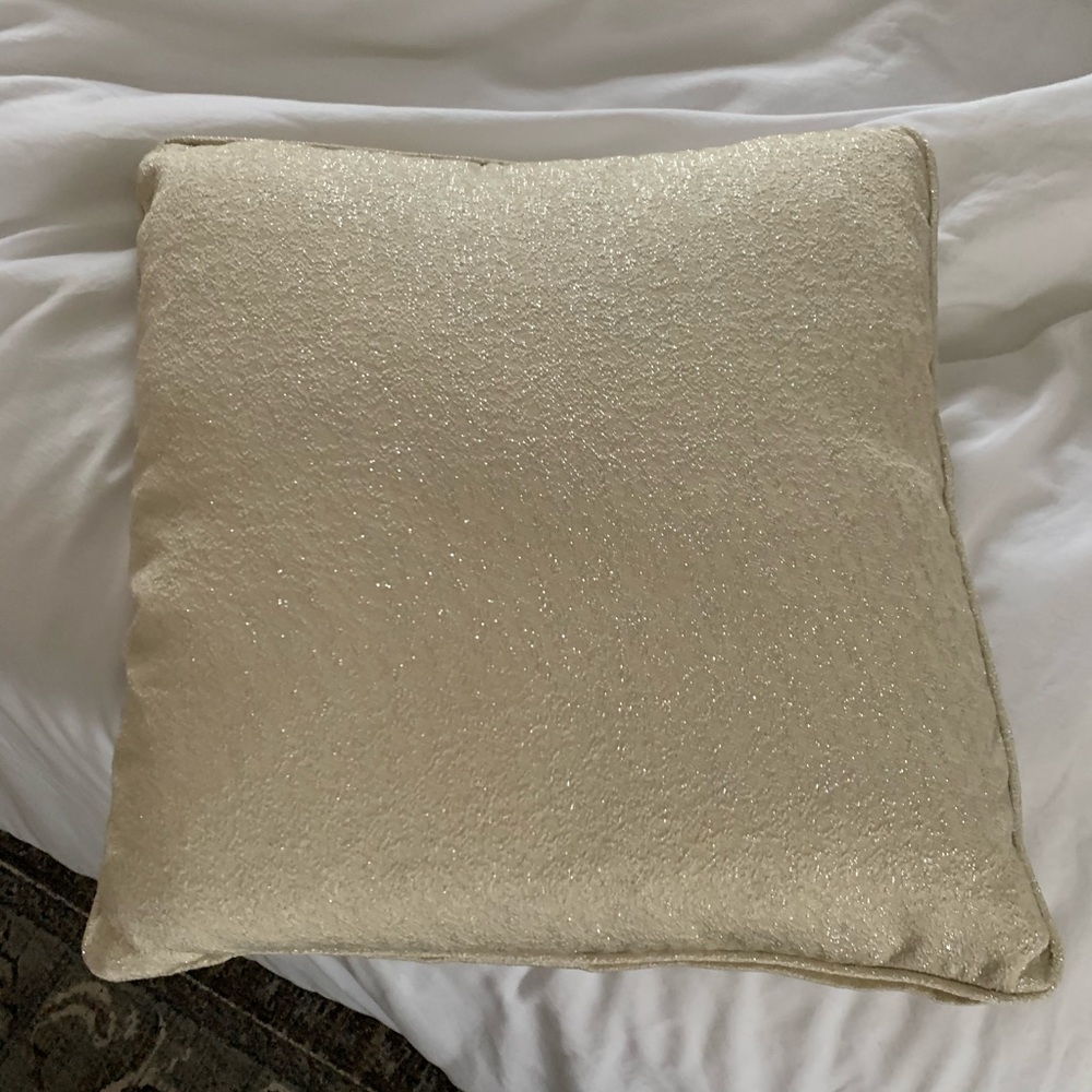 Sparkly pillow from Homegoods